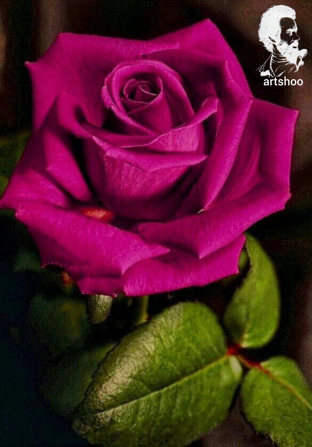 گل اورژینال رنگ روغن